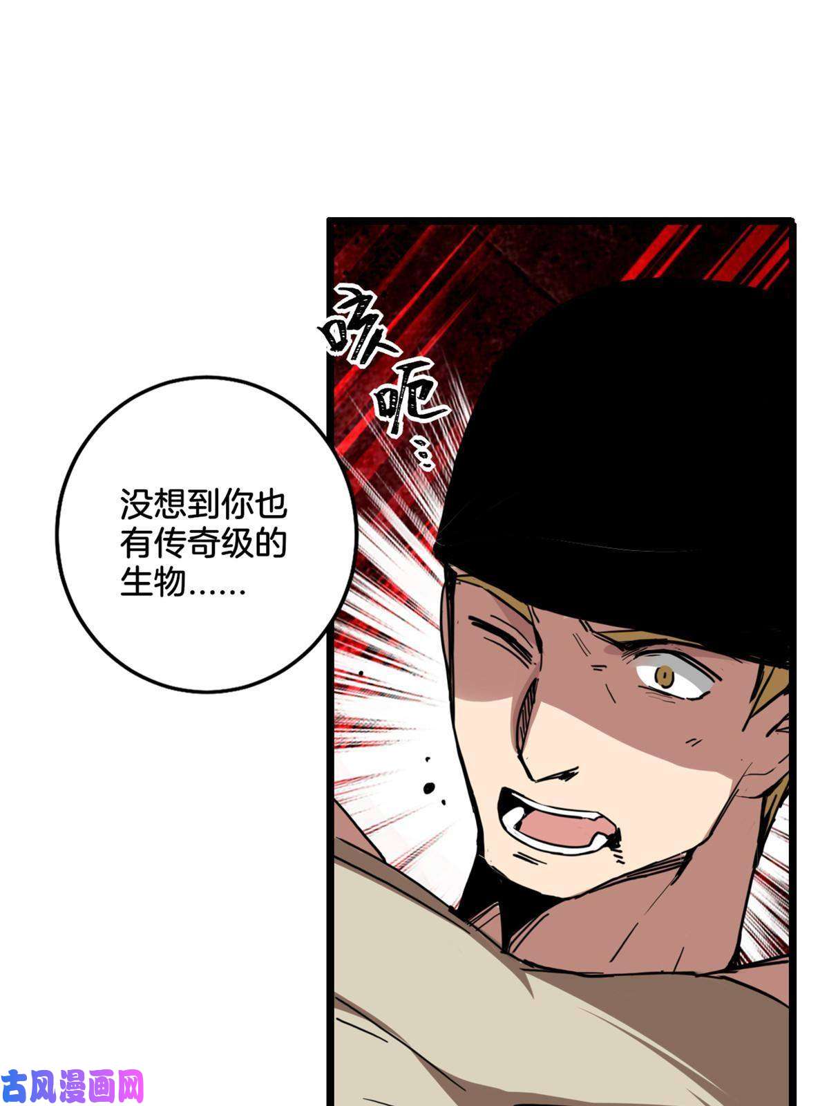 我只想安静地打游戏11 传奇伴生宠