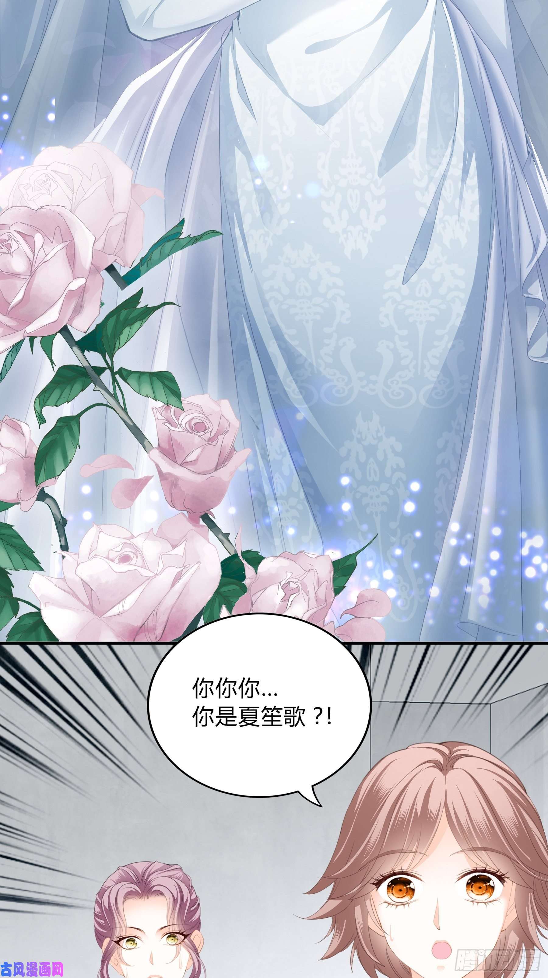 暴君爱人一意孤行的订婚宴