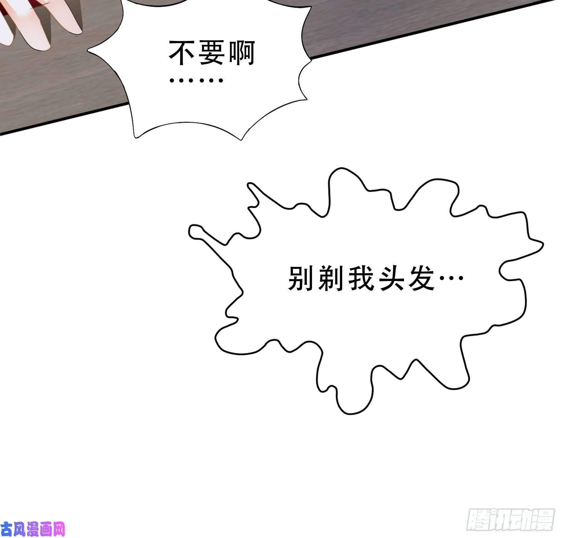 暴君爱人九爷动身