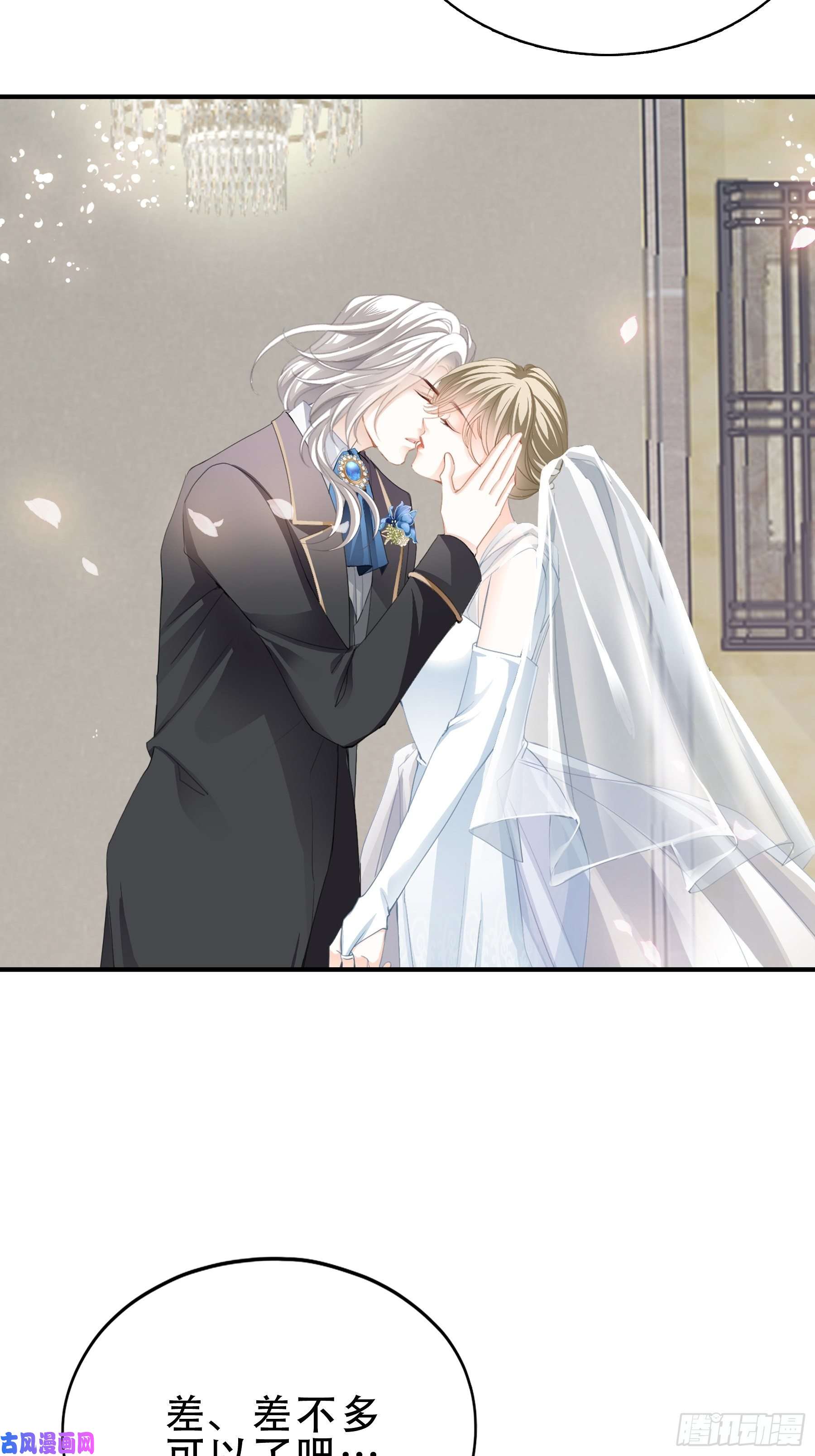 暴君爱人亲吻