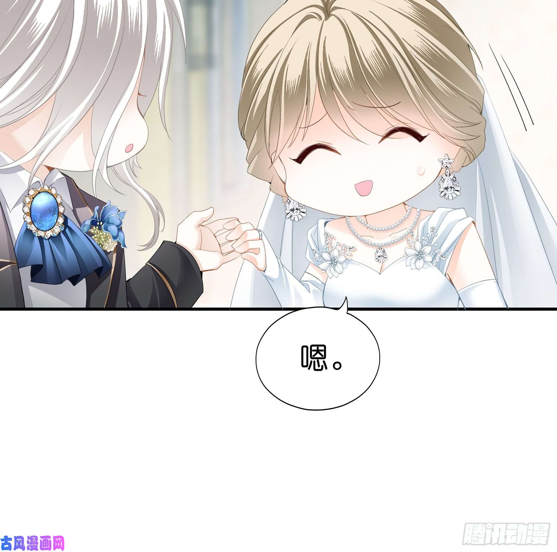 暴君爱人劲爆的婚礼