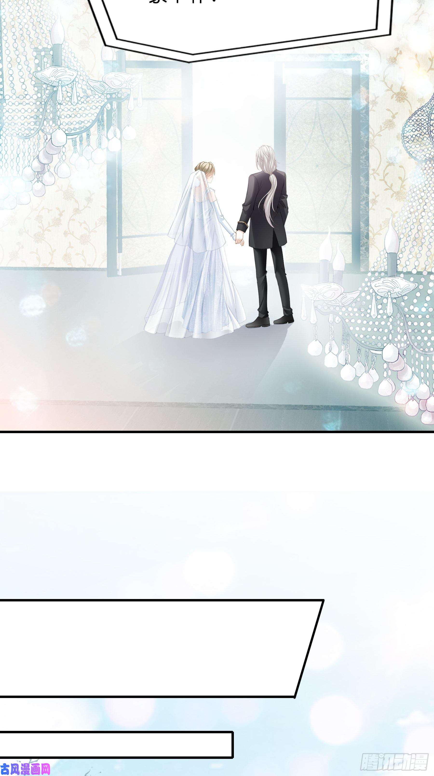 暴君爱人劲爆的婚礼