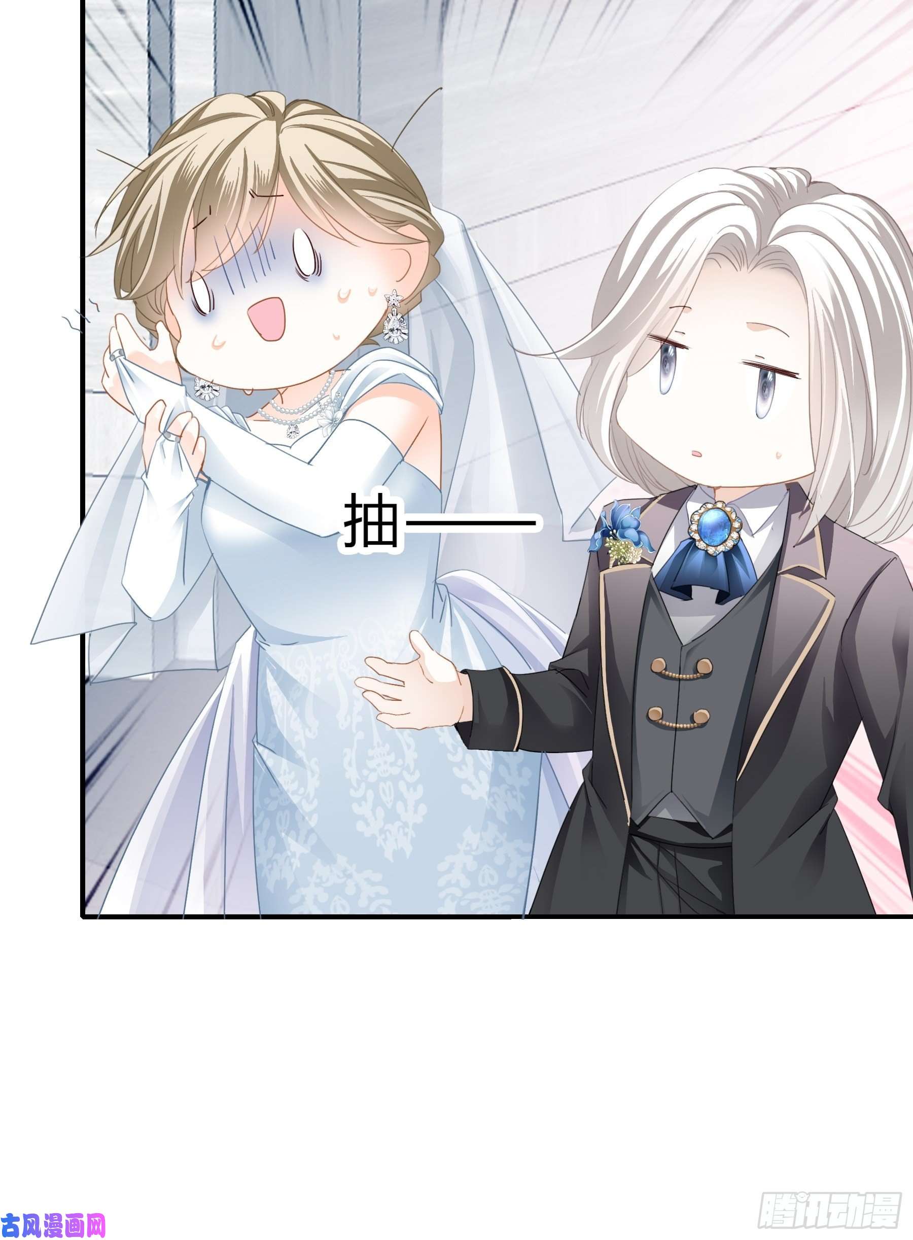 暴君爱人劲爆的婚礼
