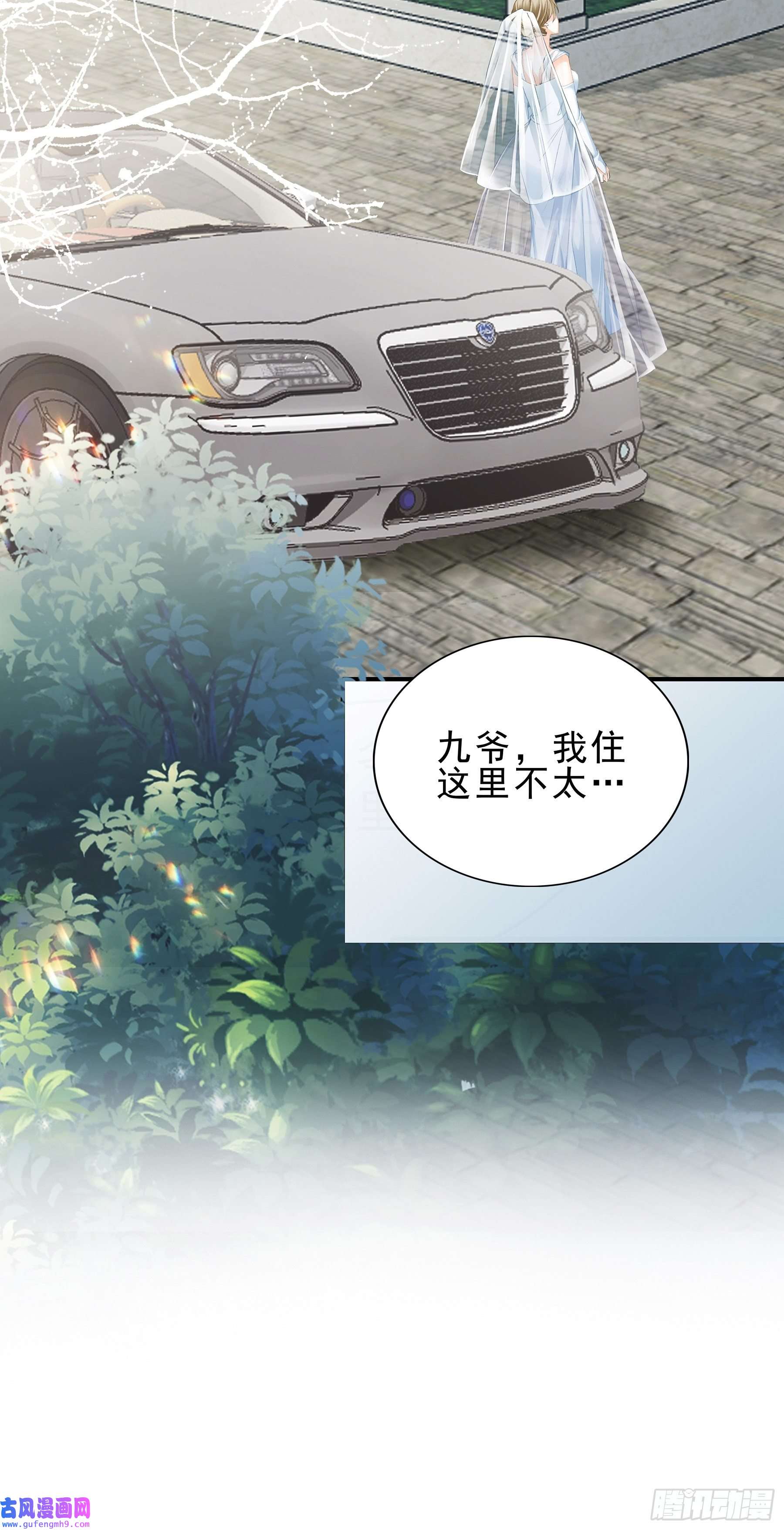暴君爱人跟九爷话家