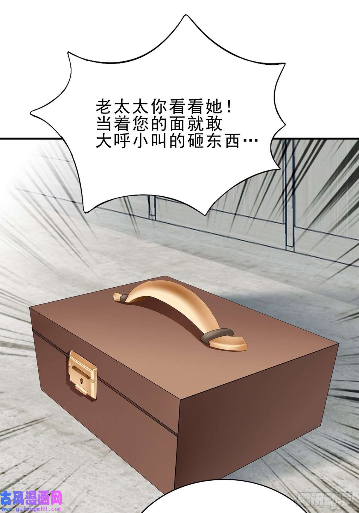 暴君爱人亲生母亲的遗物