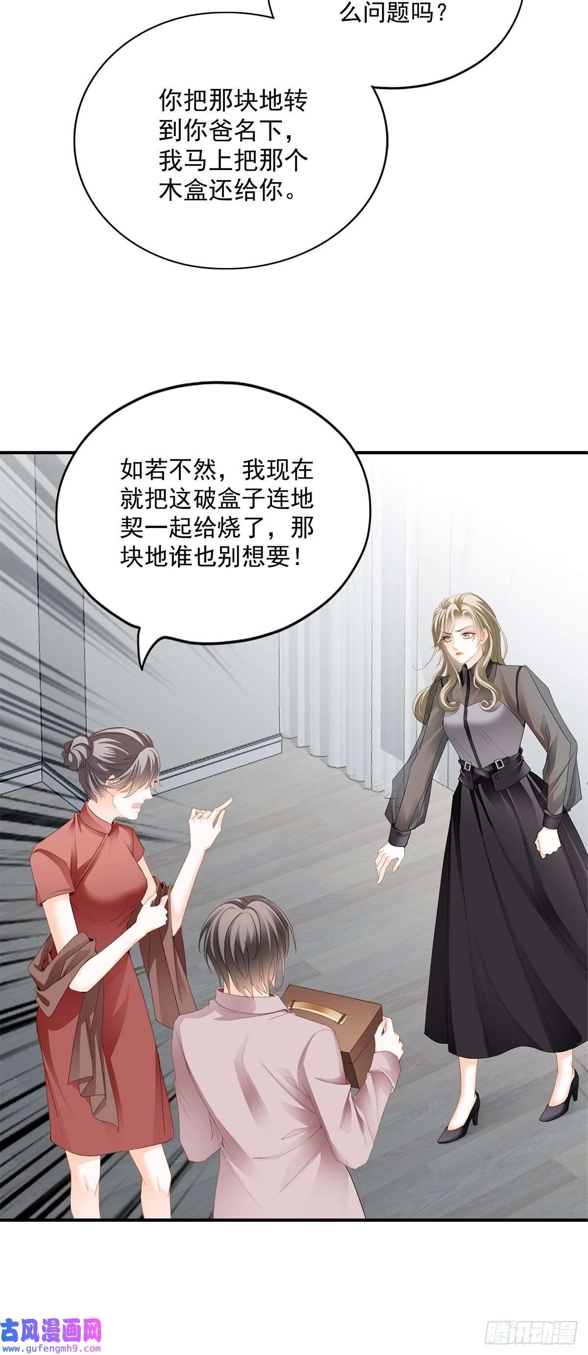 暴君爱人亲生母亲的遗物