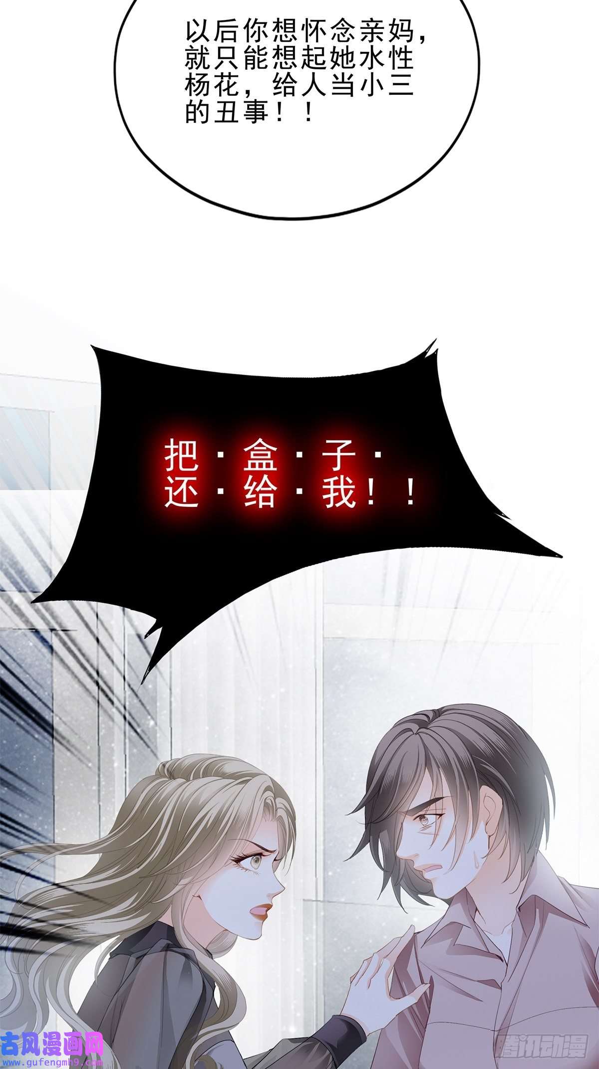 暴君爱人亲生母亲的遗物