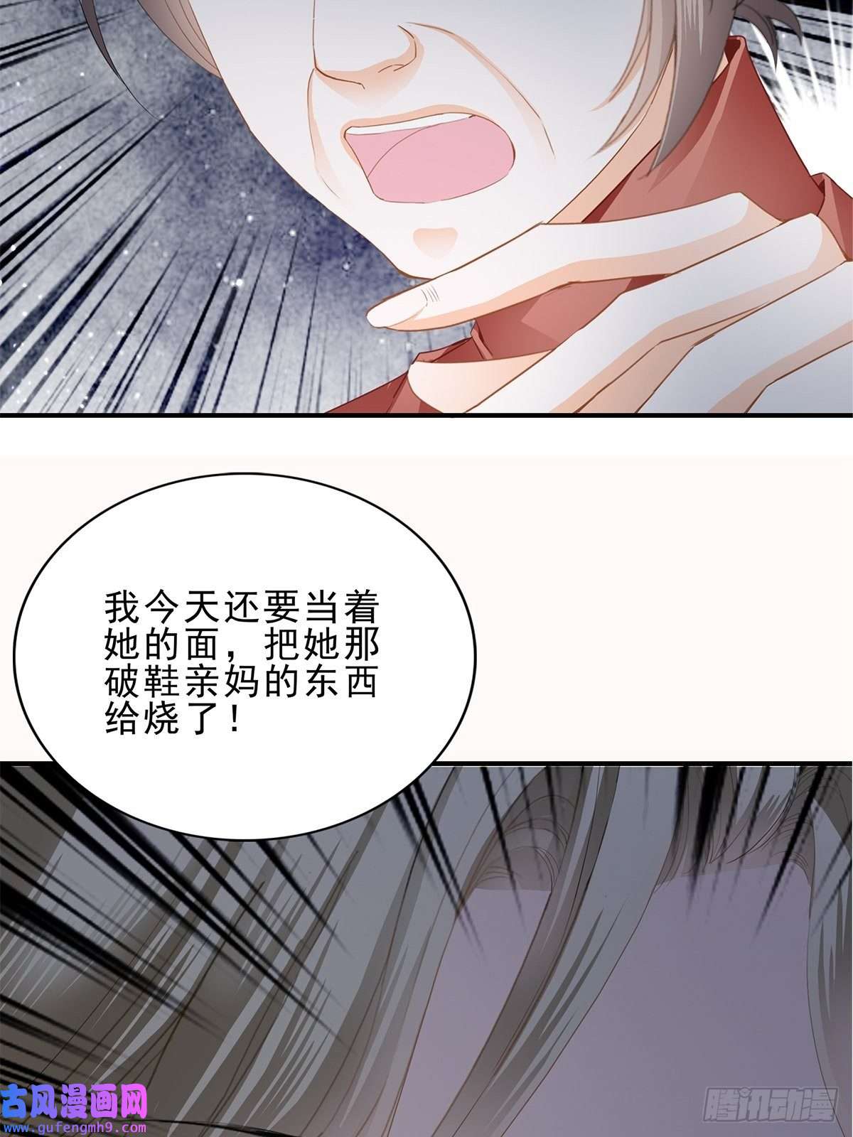 暴君爱人亲生母亲的遗物