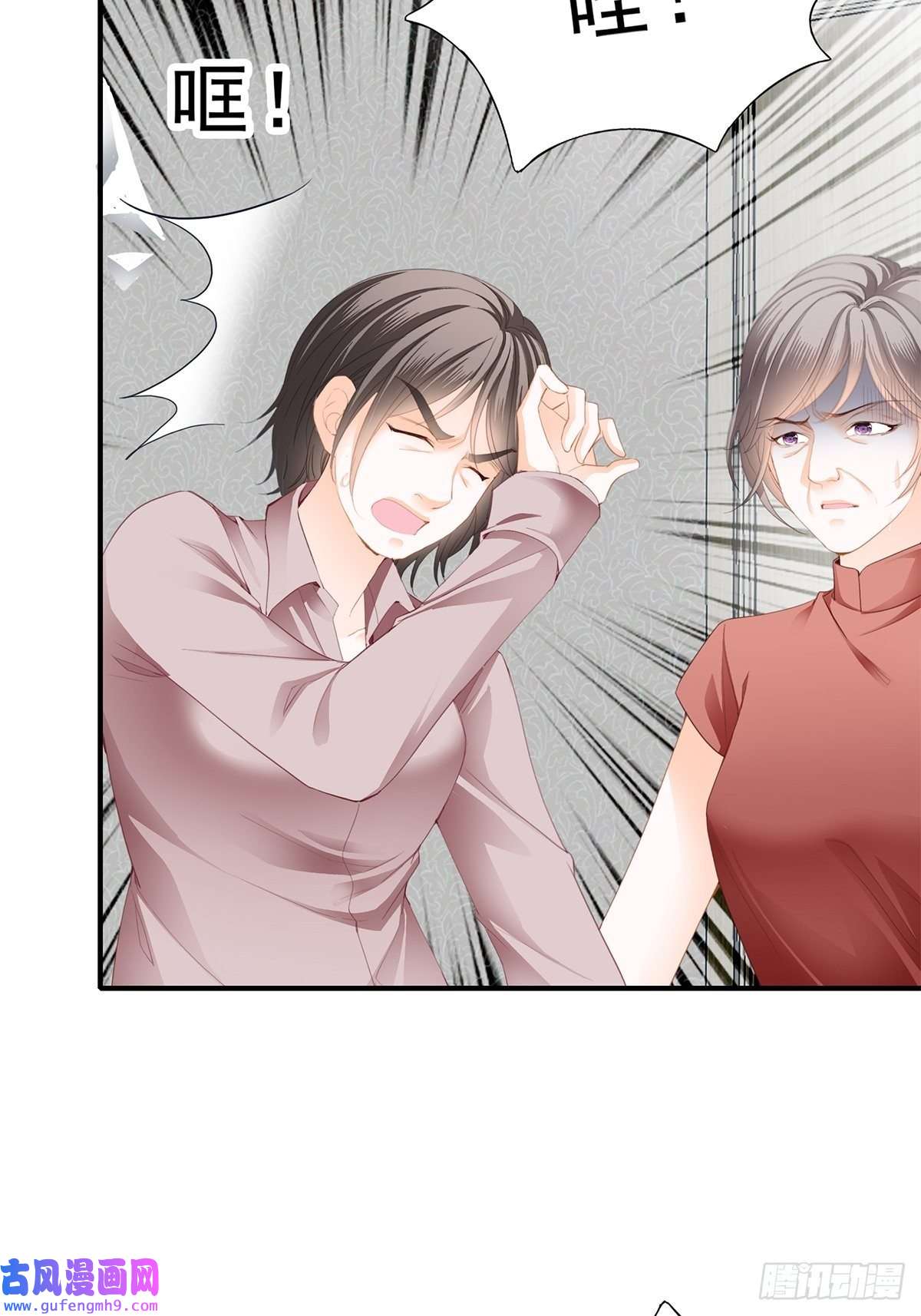 暴君爱人亲生母亲的遗物