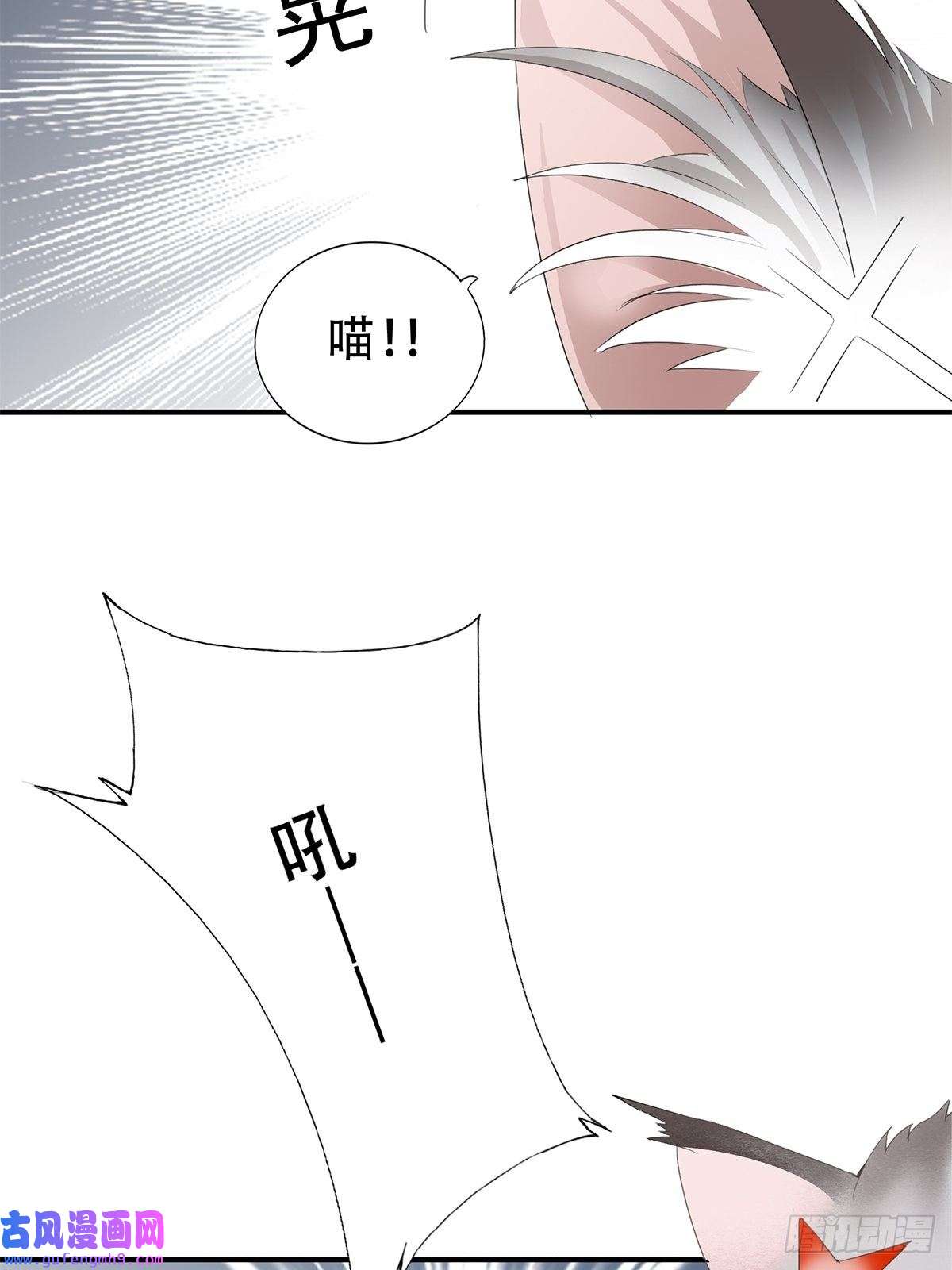 暴君爱人冷水澡