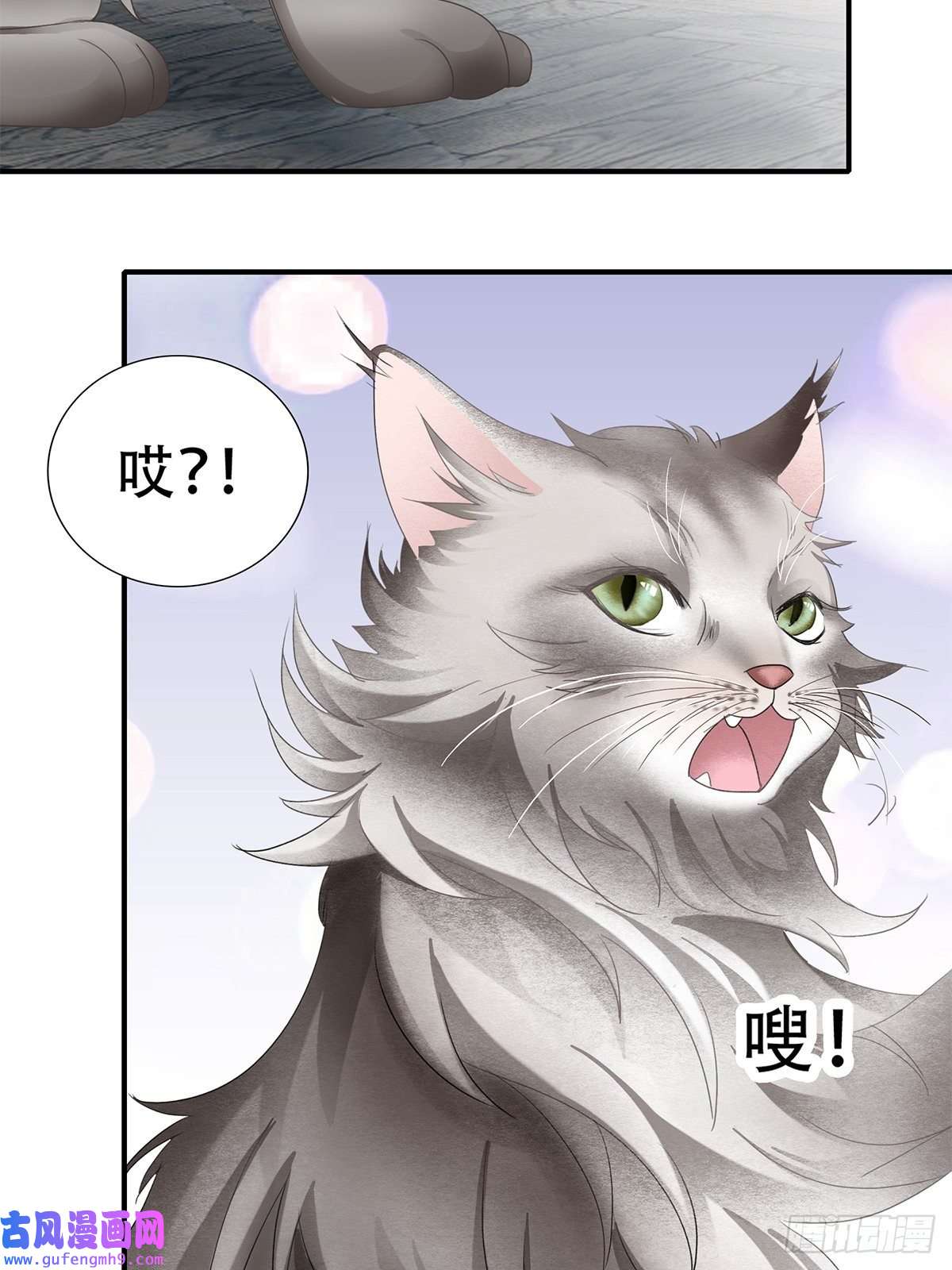 暴君爱人冷水澡