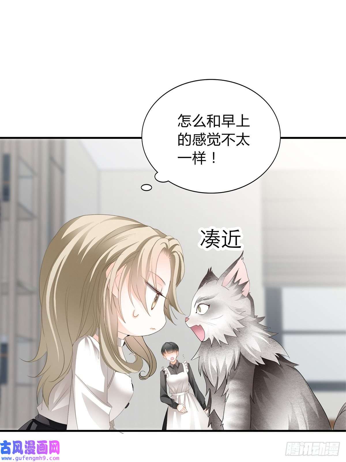 暴君爱人投喂失败