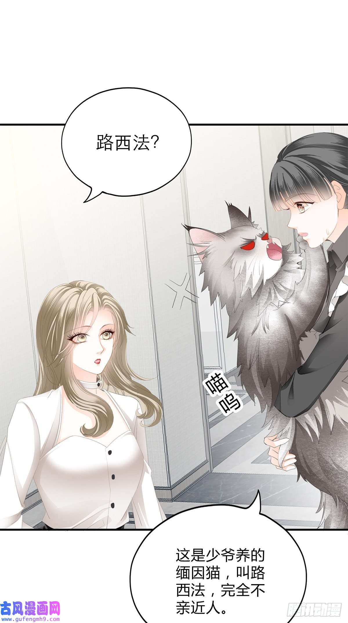 暴君爱人投喂失败