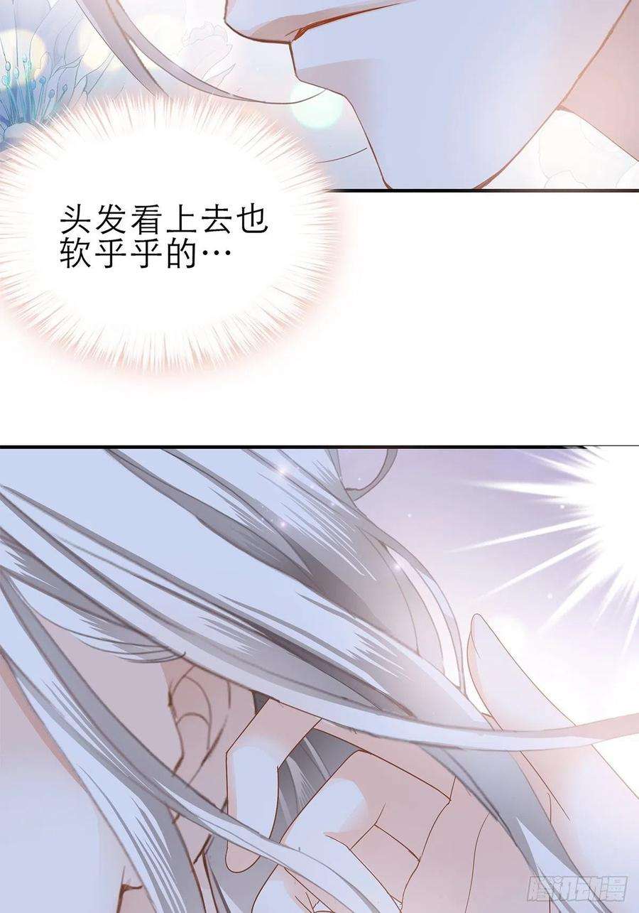 暴君爱人吃猫咪的醋