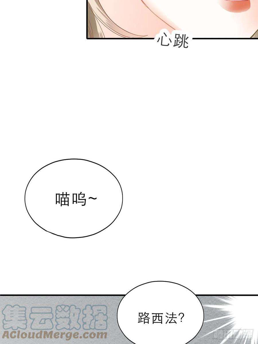 暴君爱人吃猫咪的醋
