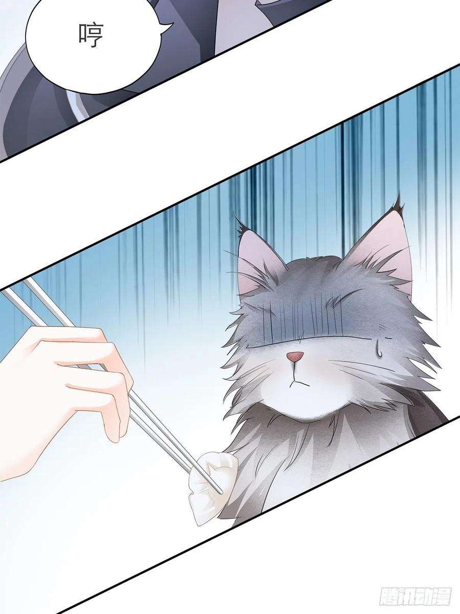 暴君爱人吃猫咪的醋