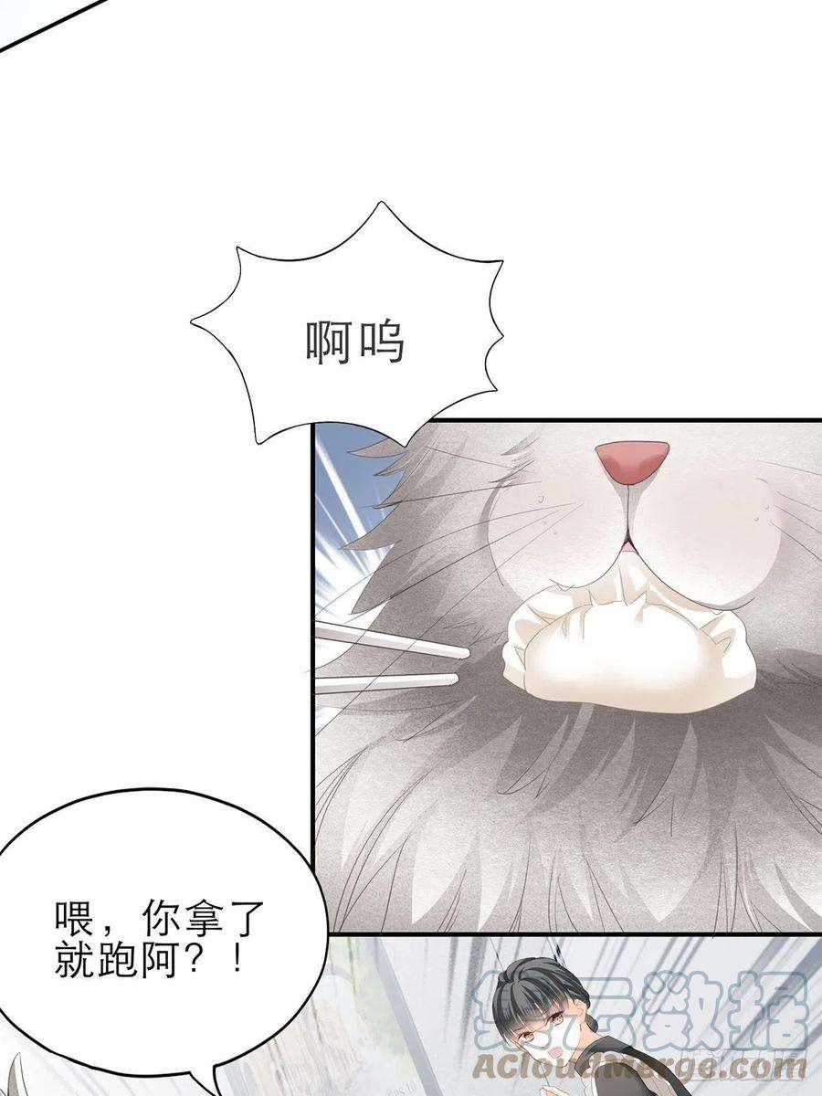 暴君爱人吃猫咪的醋