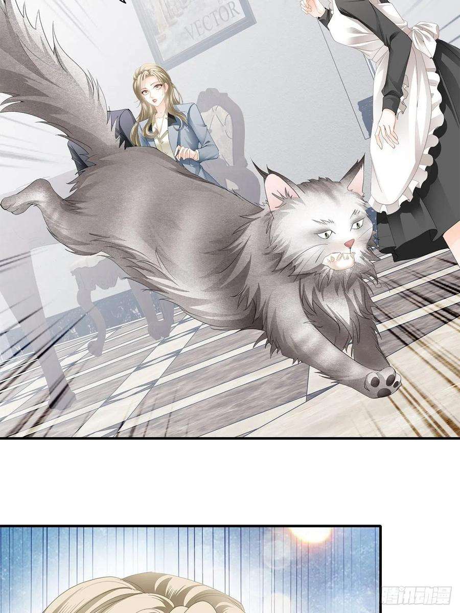 暴君爱人吃猫咪的醋
