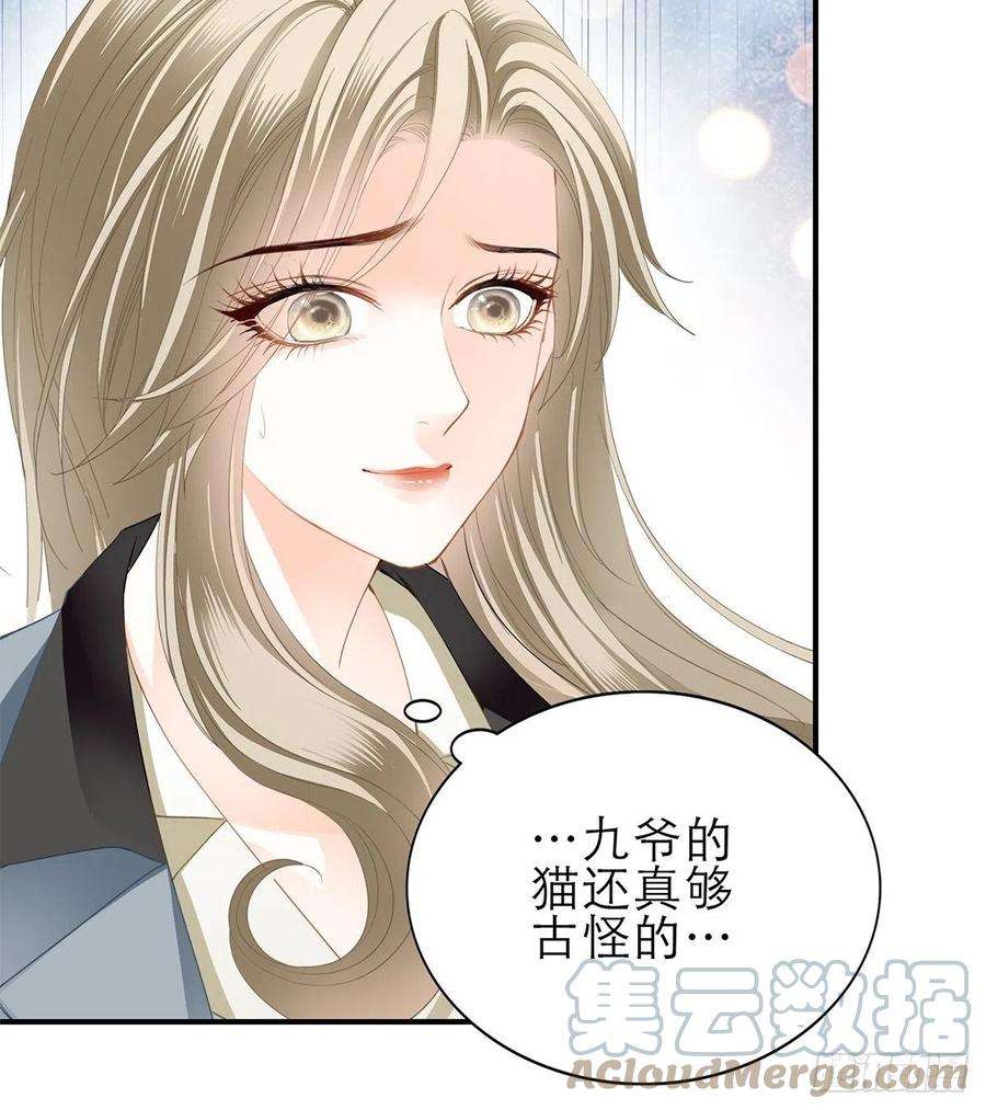 暴君爱人吃猫咪的醋