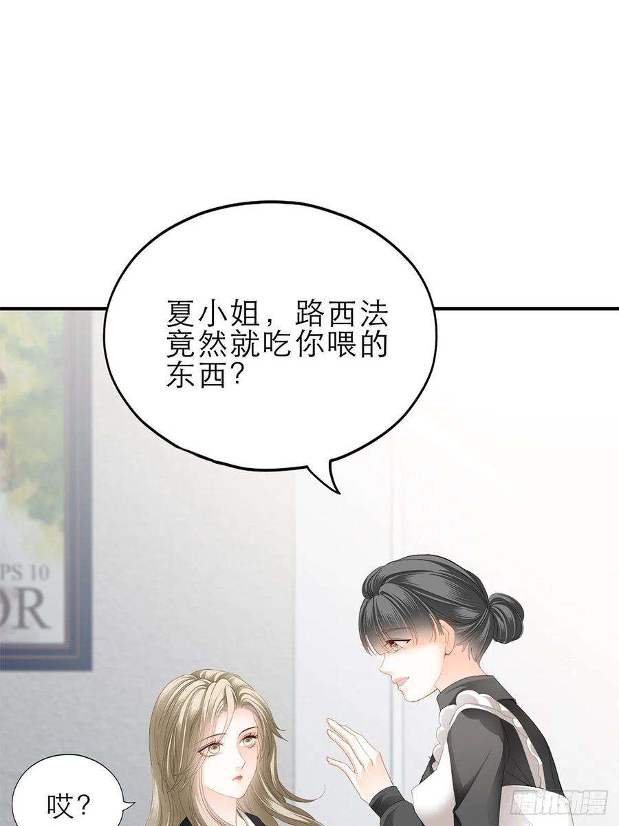 暴君爱人吃猫咪的醋