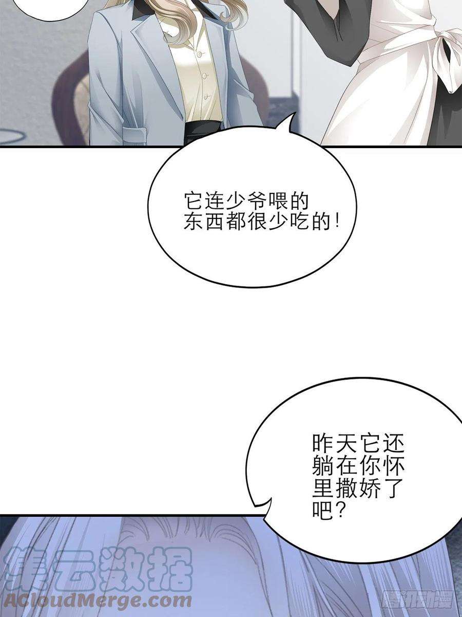 暴君爱人吃猫咪的醋