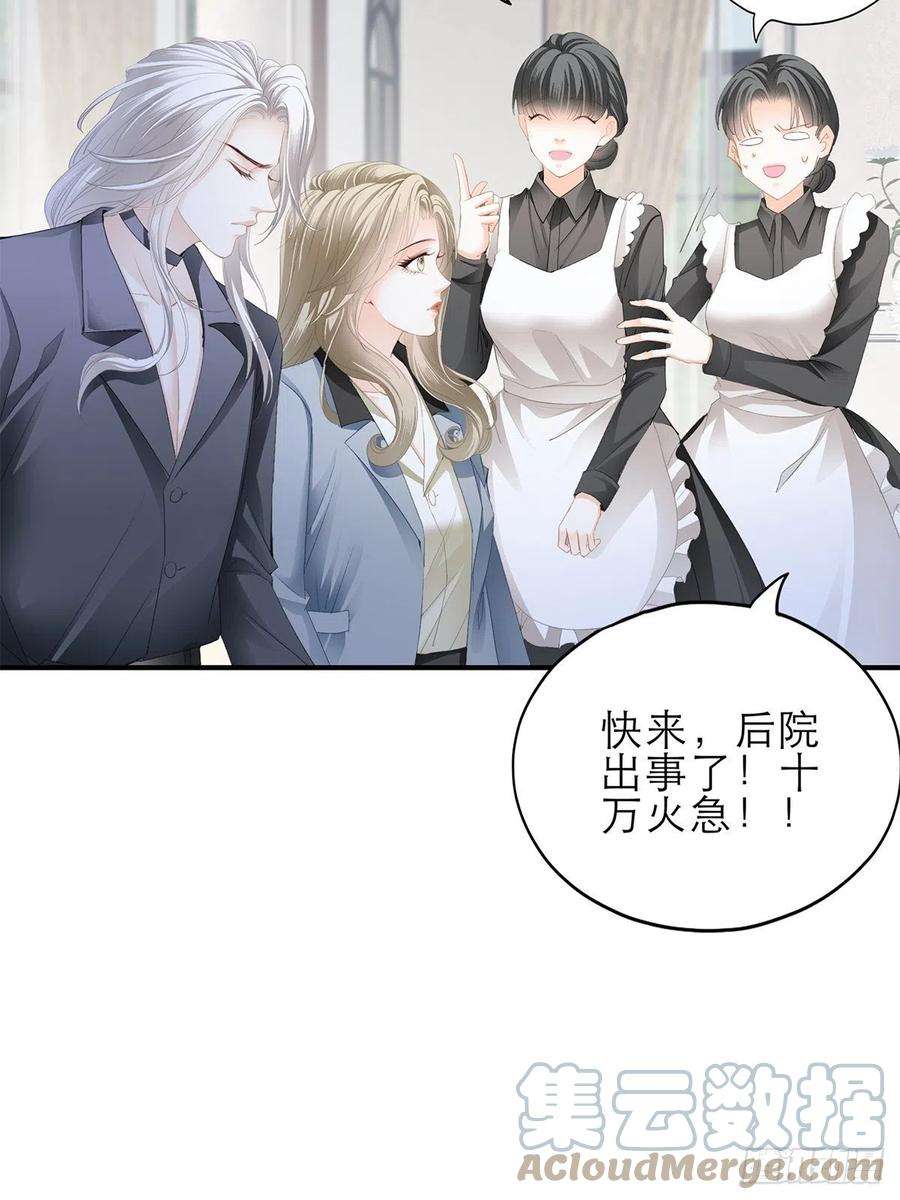 暴君爱人吃猫咪的醋