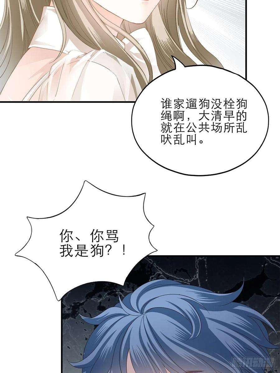 暴君爱人讨债女王