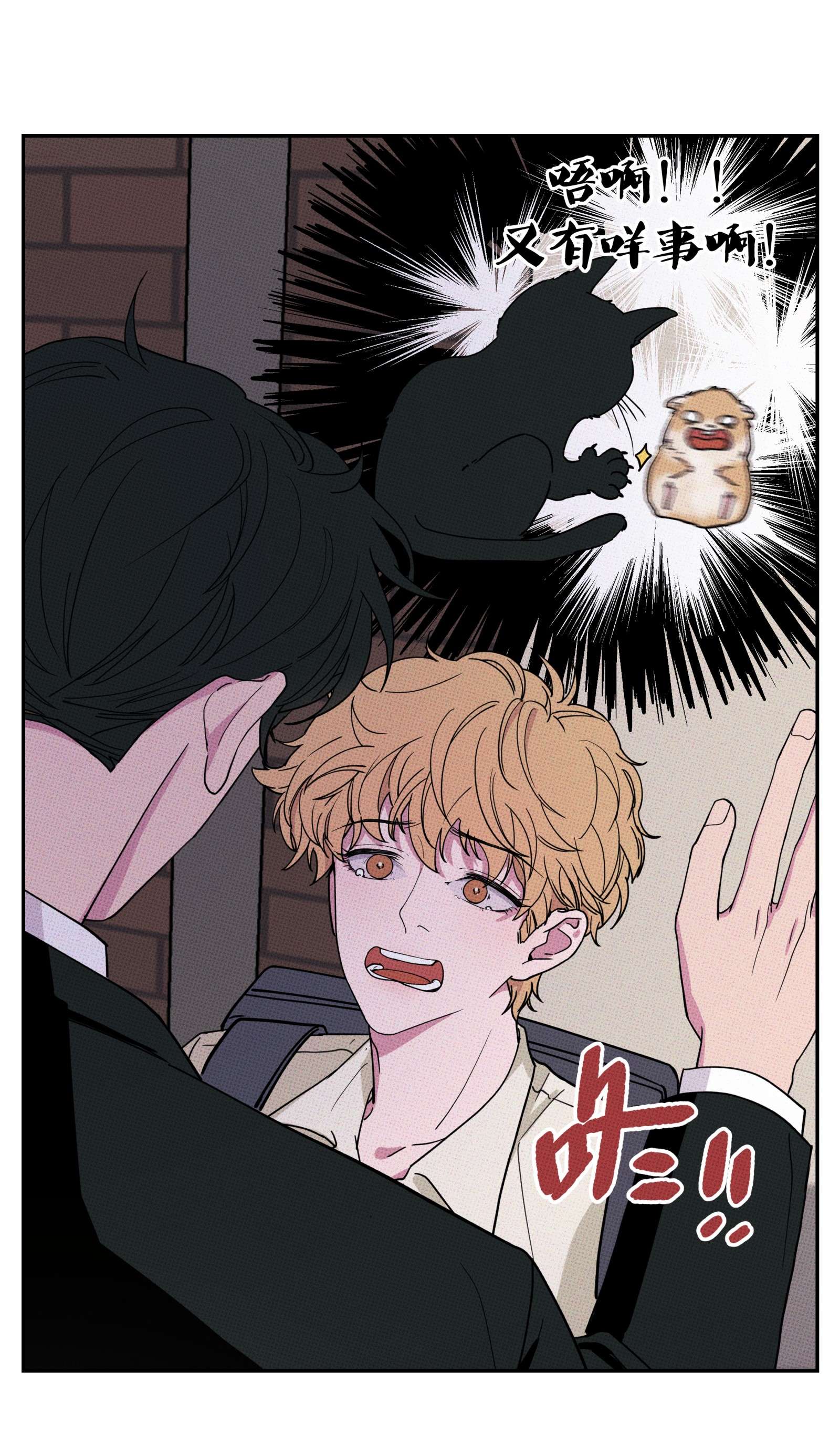 不要吃掉我的小饼干002 梅开二度！？