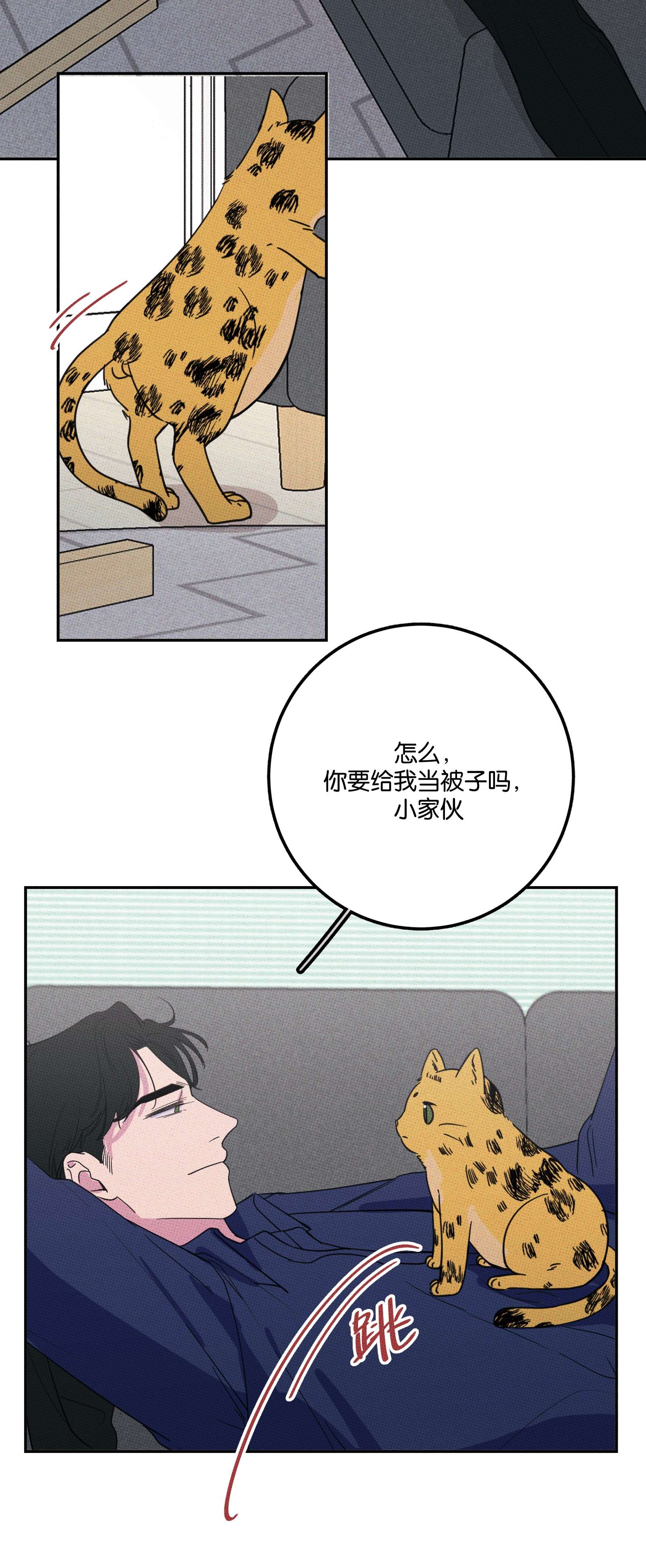 不要吃掉我的小饼干005 专属经纪人