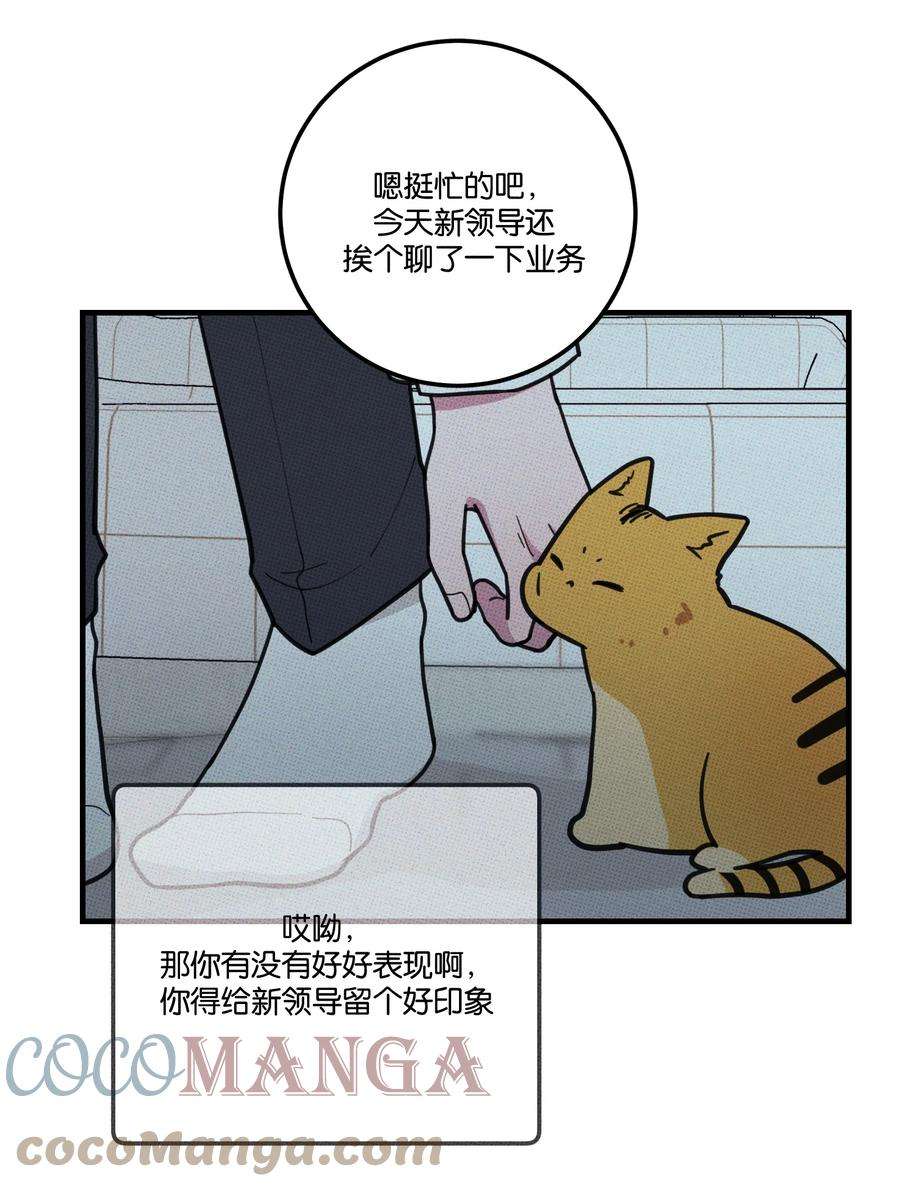不要吃掉我的小饼干018 狗头保命~