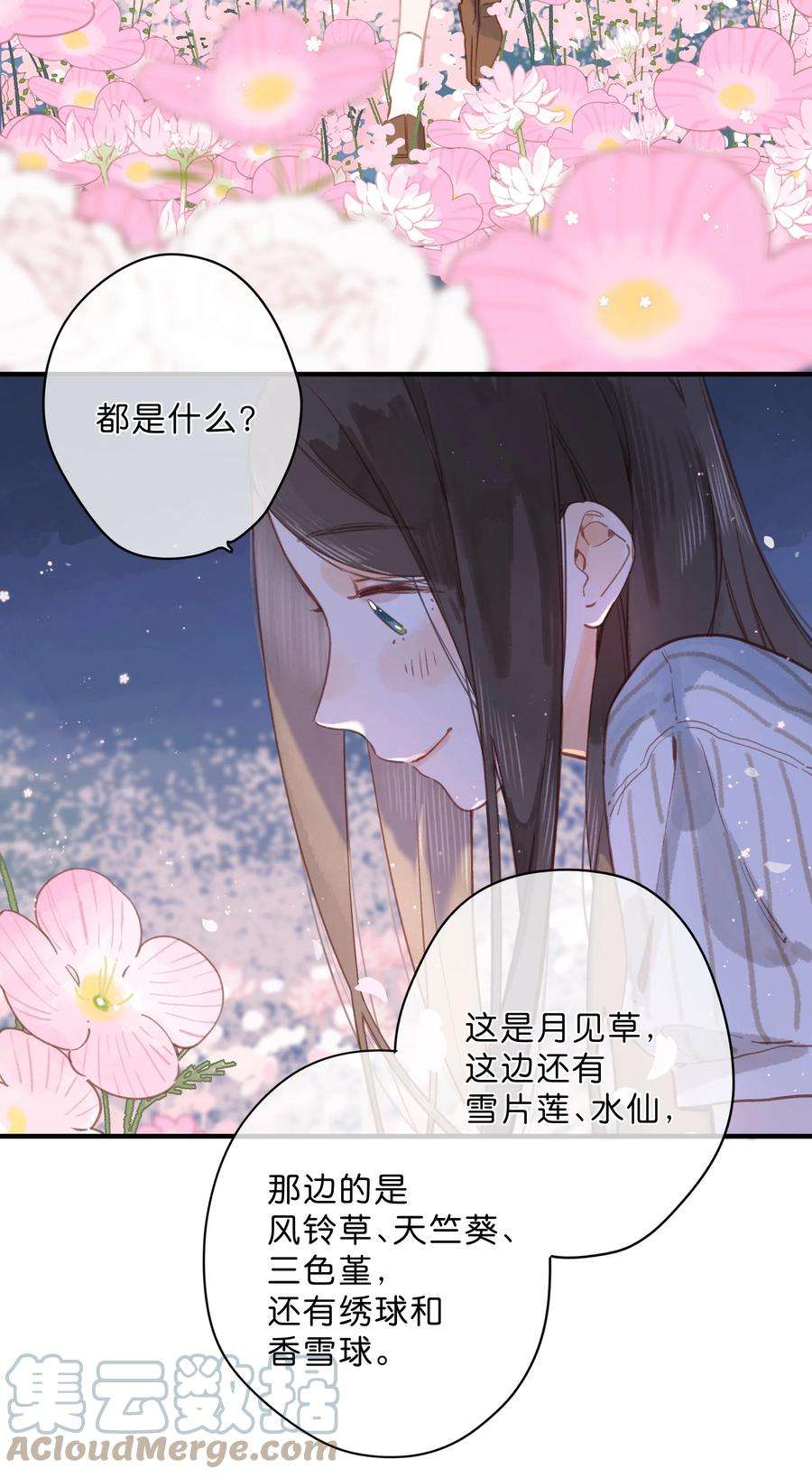 街角的向阳花屋20话 秘密花园