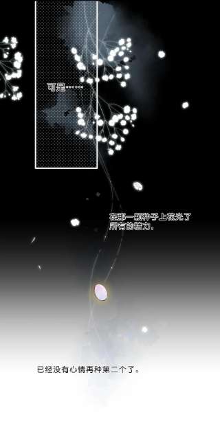 街角的向阳花屋24话 第二颗种子