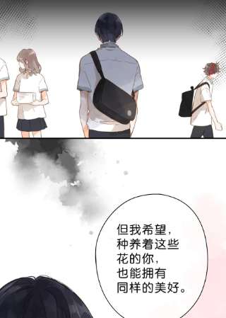 街角的向阳花屋24话 第二颗种子