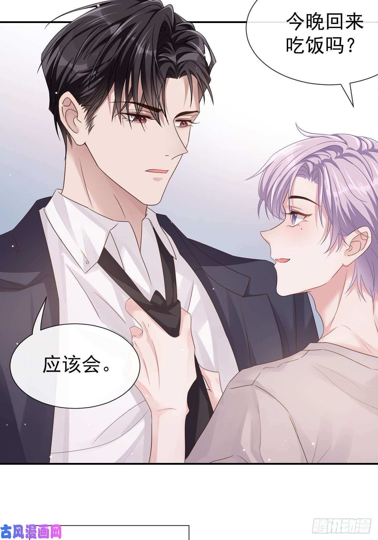 替身关系贺先生的心意