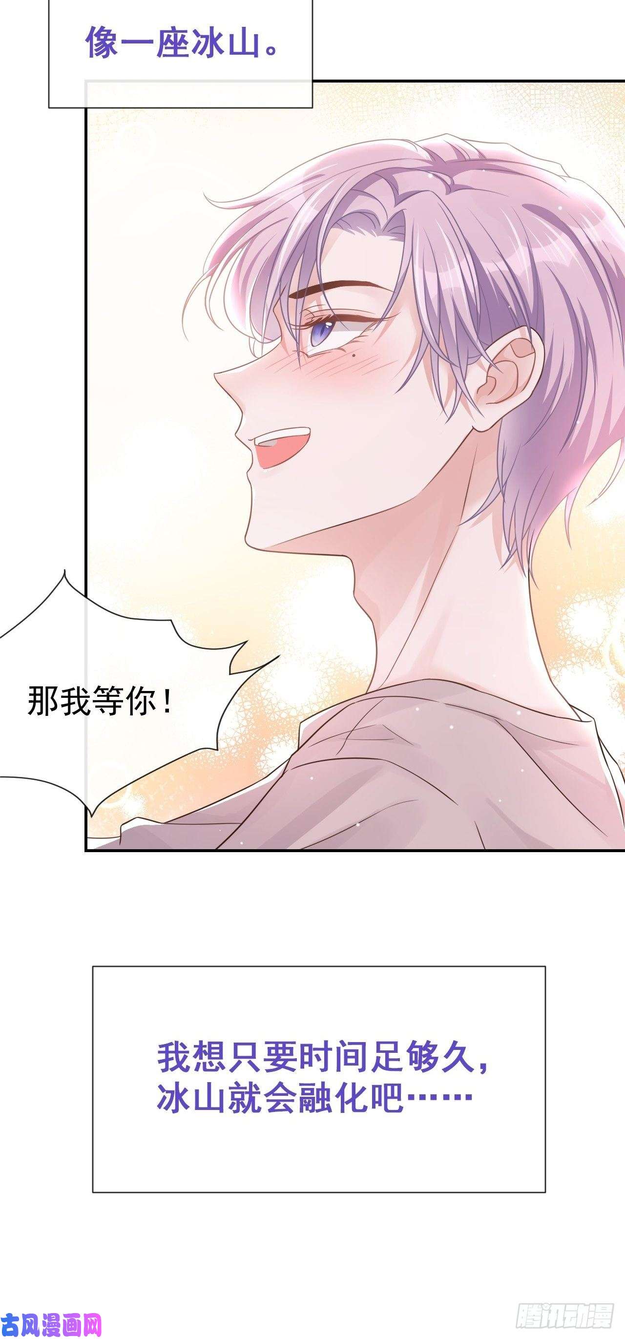 替身关系贺先生的心意