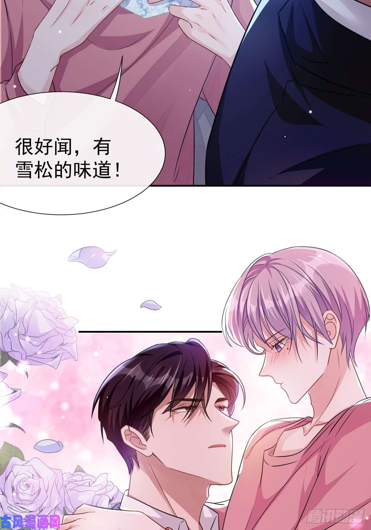 替身关系贺先生的心意