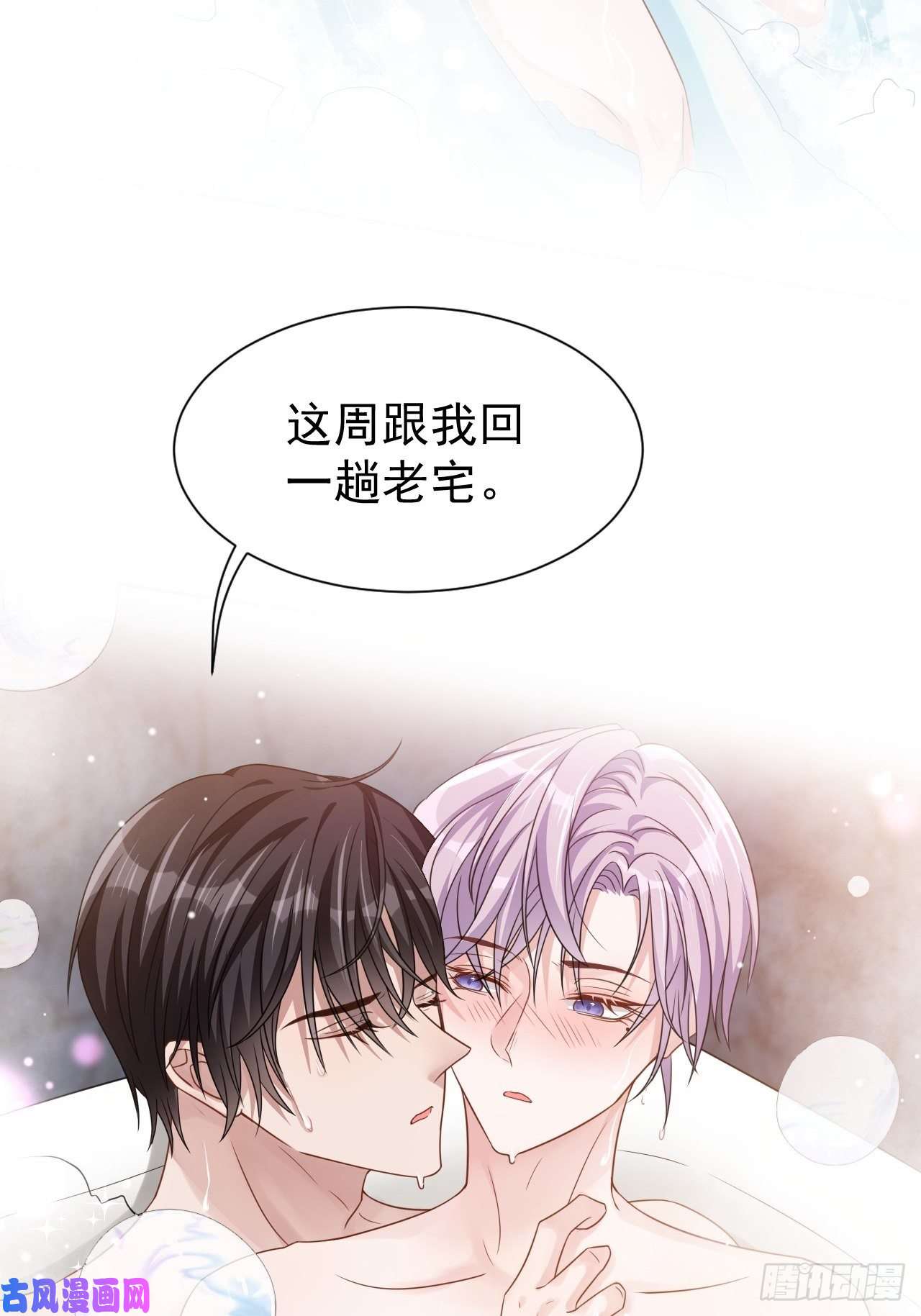 替身关系贺先生的心意