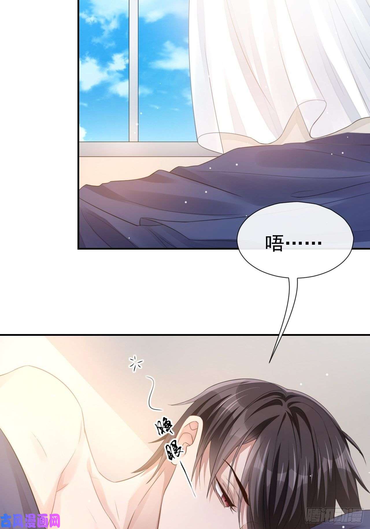 替身关系贺先生的心意