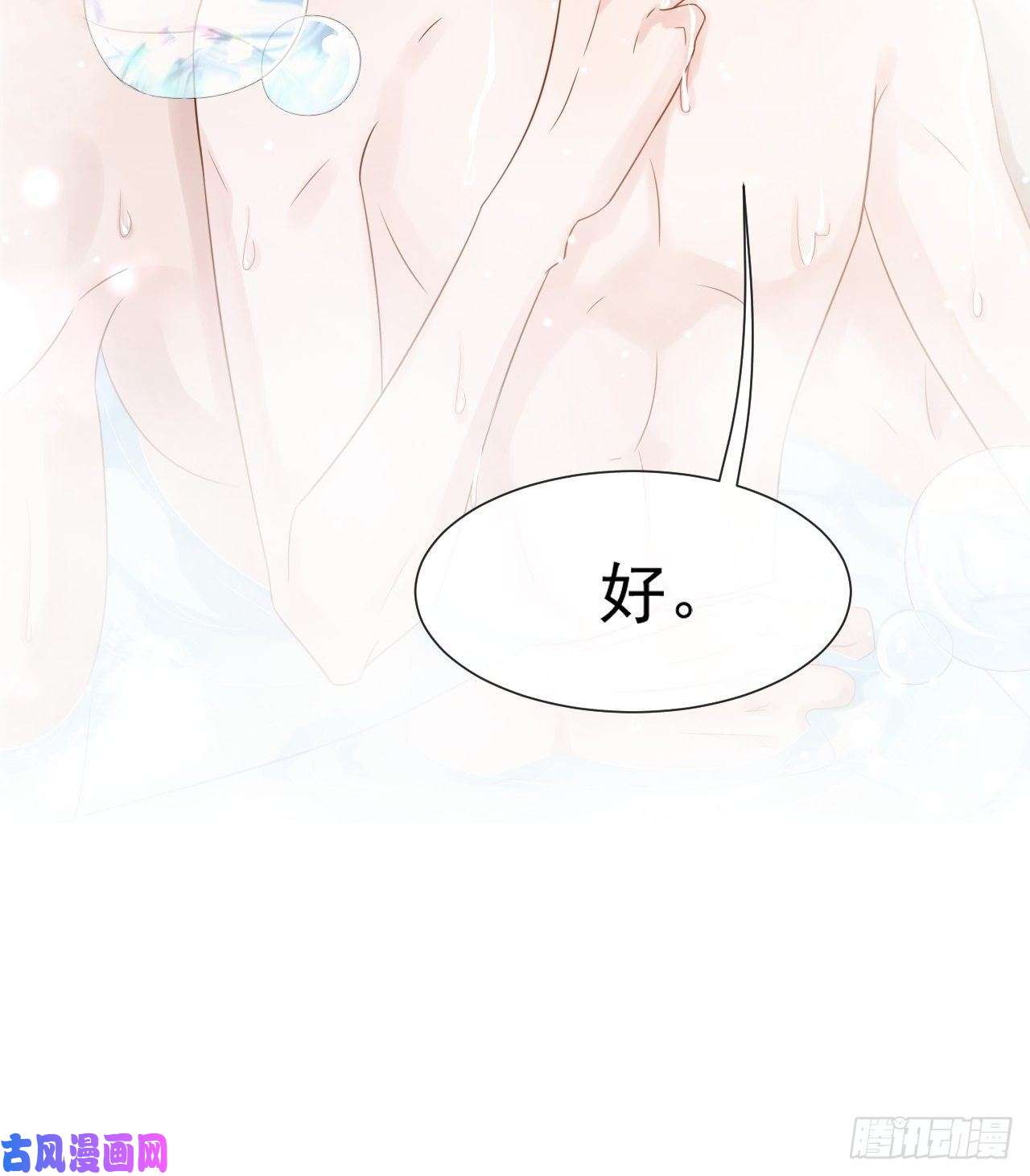 替身关系贺先生的心意