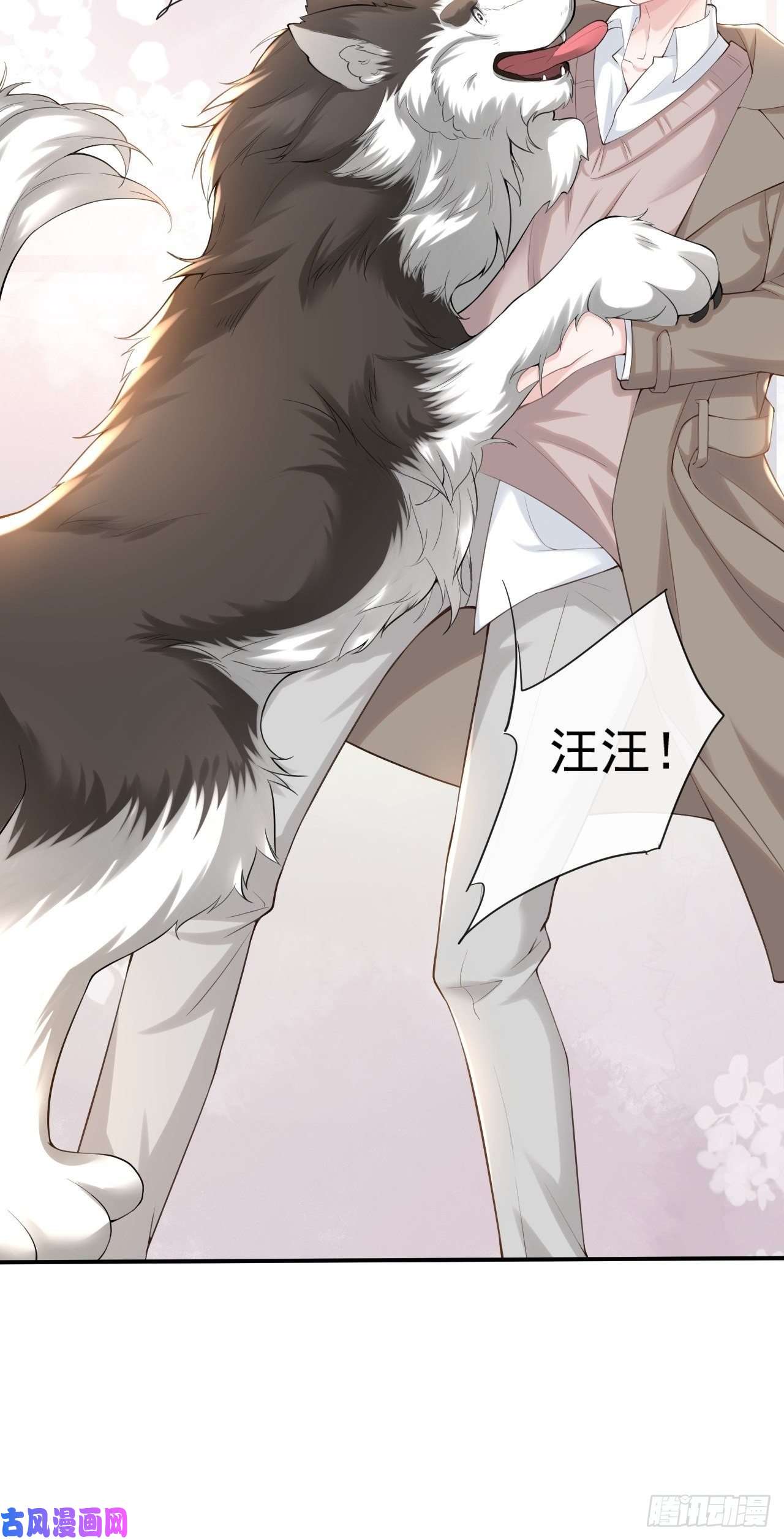 替身关系属于他记忆深处的少年