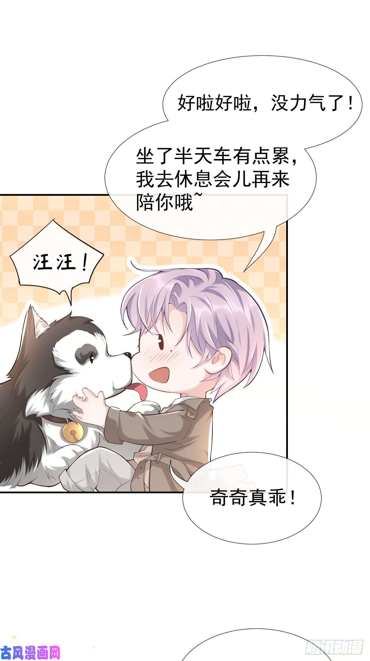 替身关系属于他记忆深处的少年