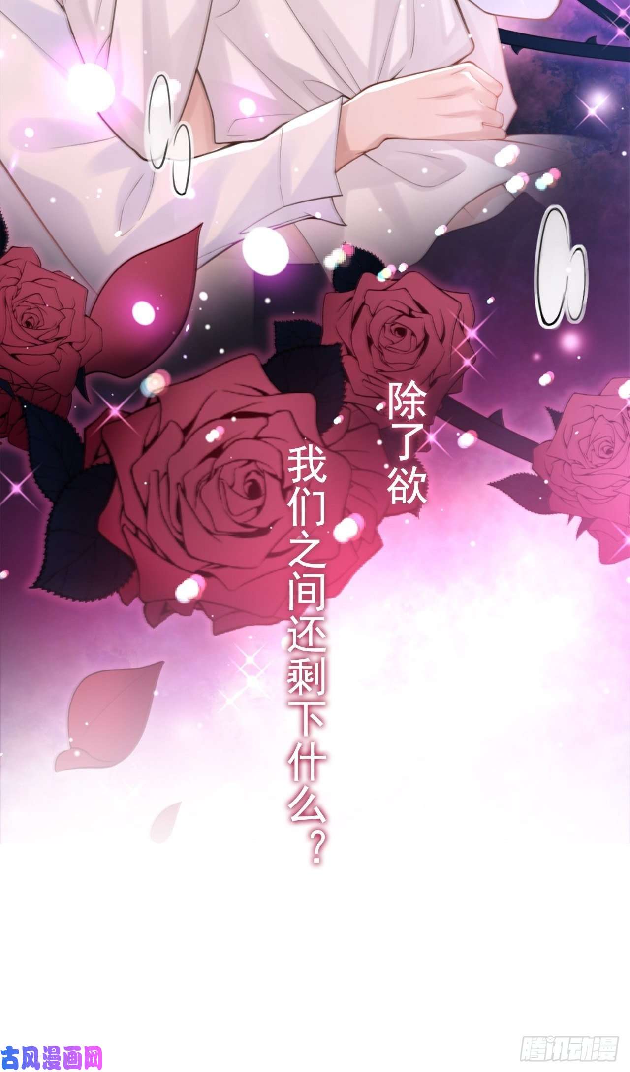 替身关系第11话 他们才更般配
