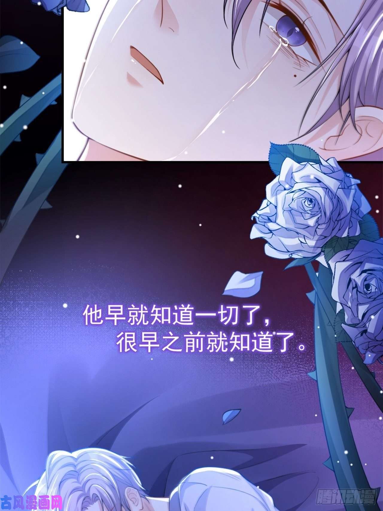 替身关系第17话 最后一次为你做馄饨