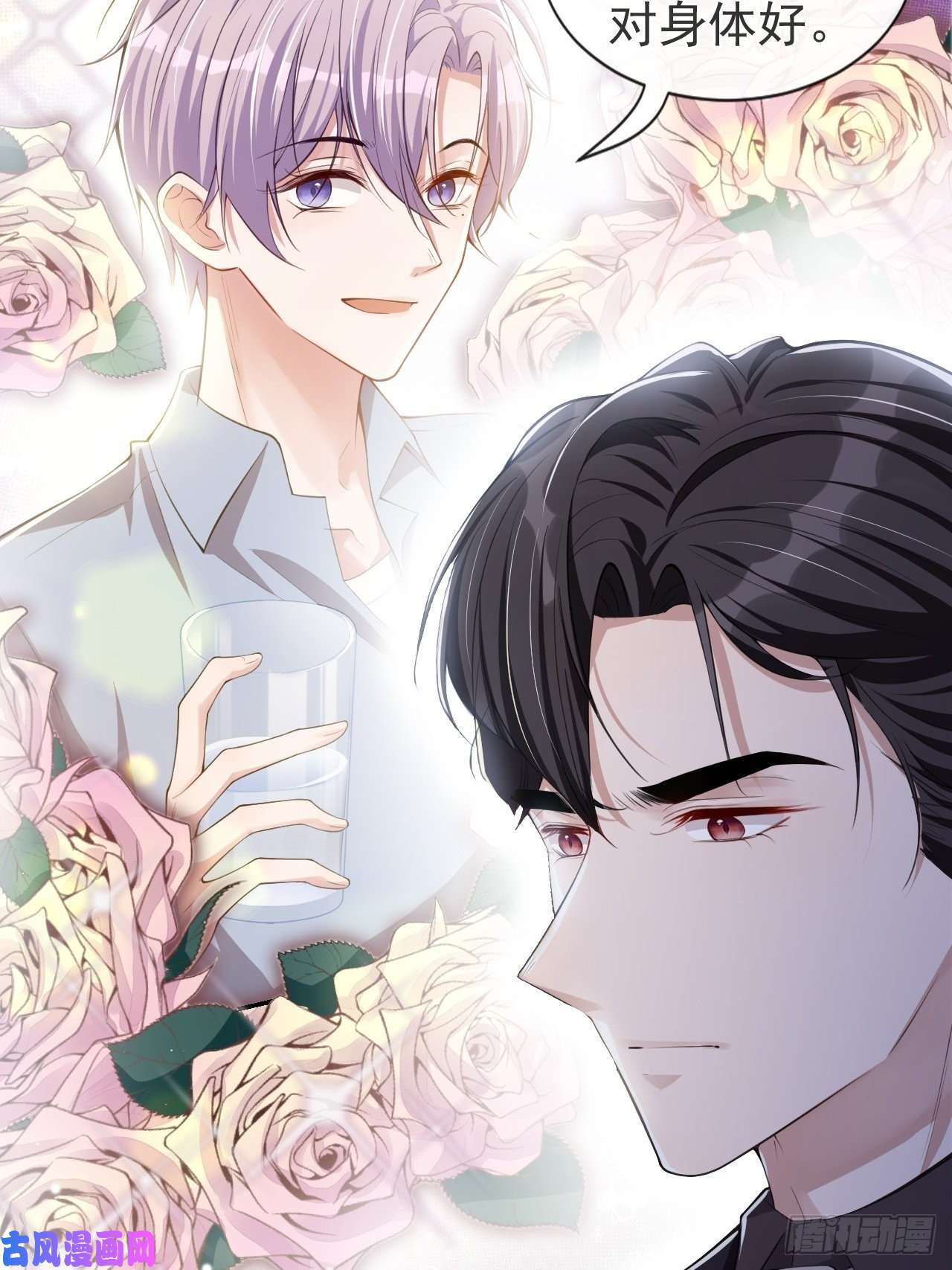 替身关系第24话 愿先生岁岁平安