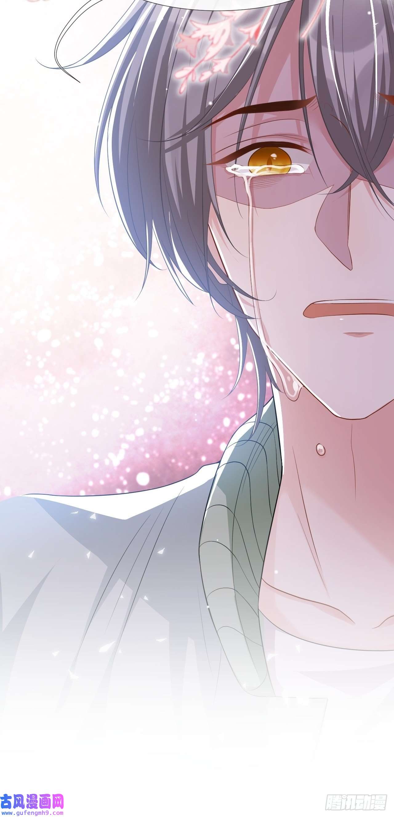 替身关系第33话 他就是许承宴