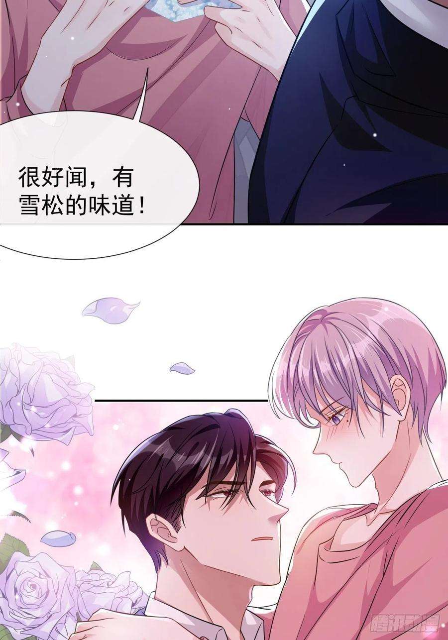 替身关系2话 贺先生的心意