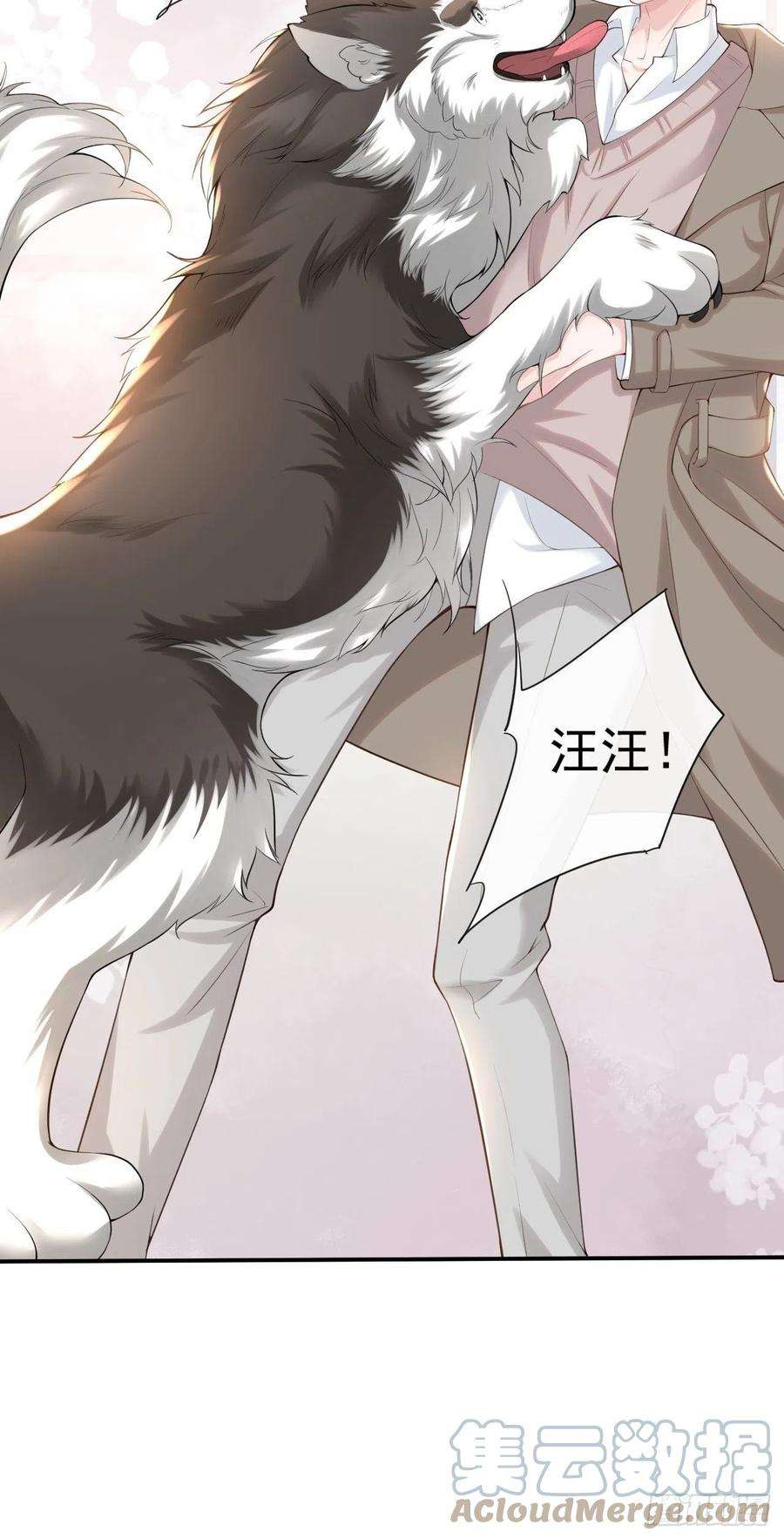 替身关系3话 属于他记忆深处的少年