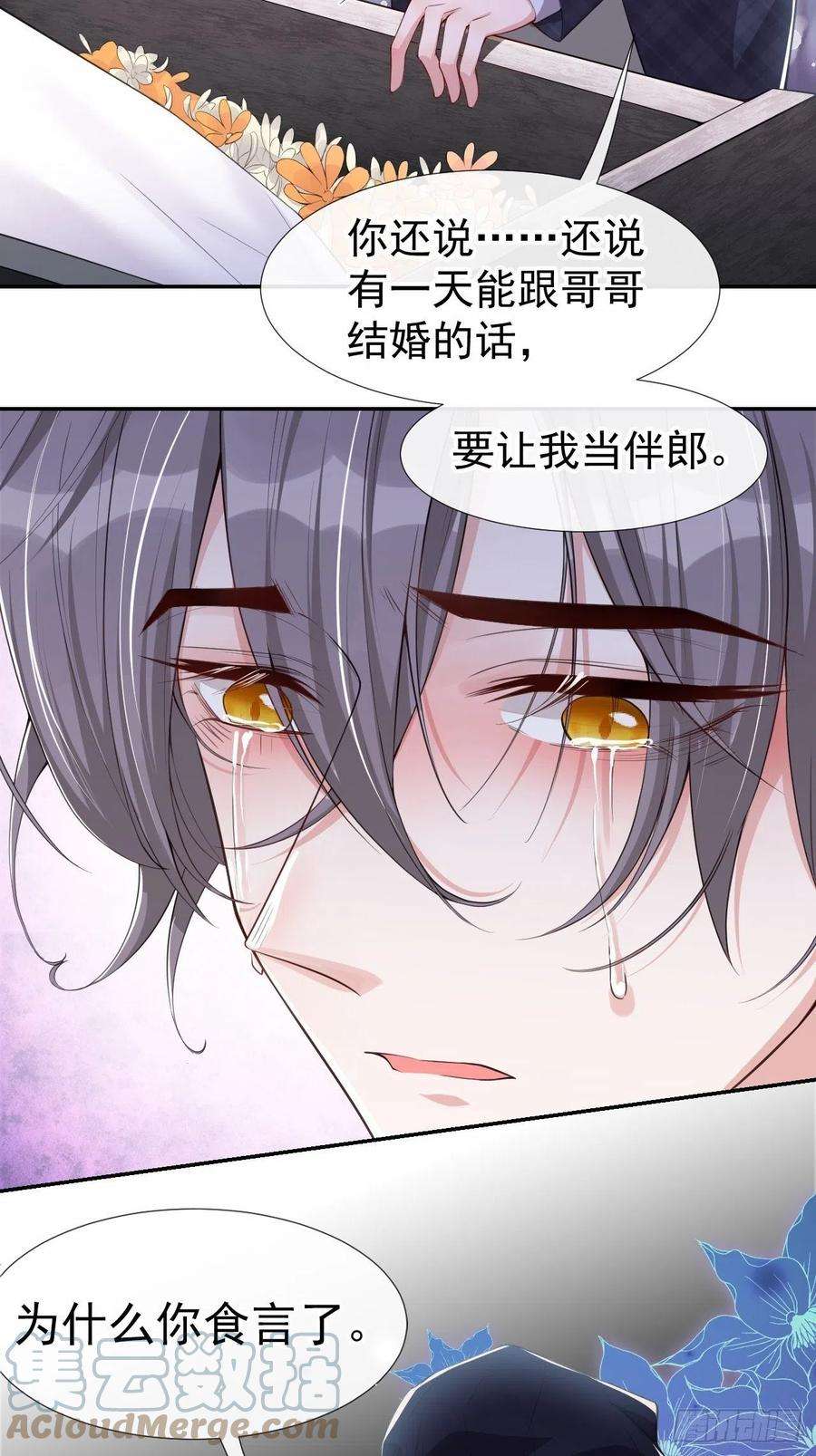 替身关系24话 愿先生岁岁平安