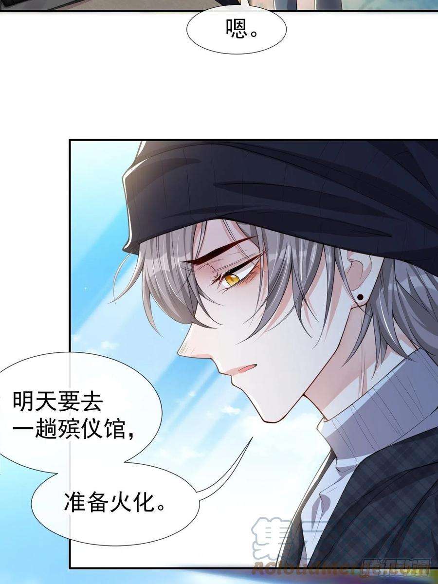 替身关系24话 愿先生岁岁平安