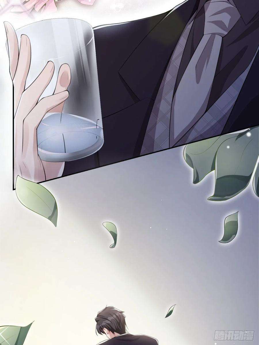 替身关系24话 愿先生岁岁平安